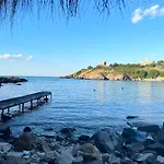 Grey * Süzebolu