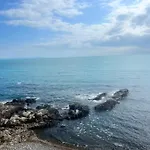 Grey * Созопол